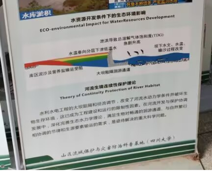 圖片2